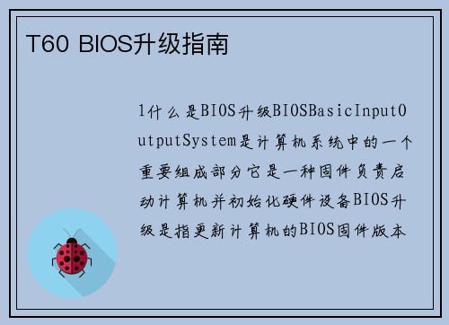 T60 BIOS升级指南
