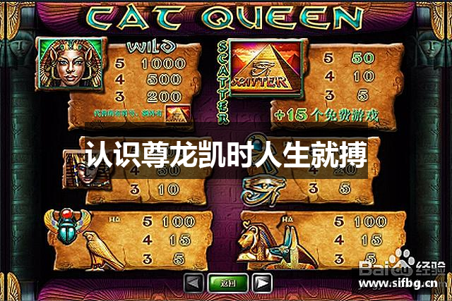 认识尊龙凯时人生就搏